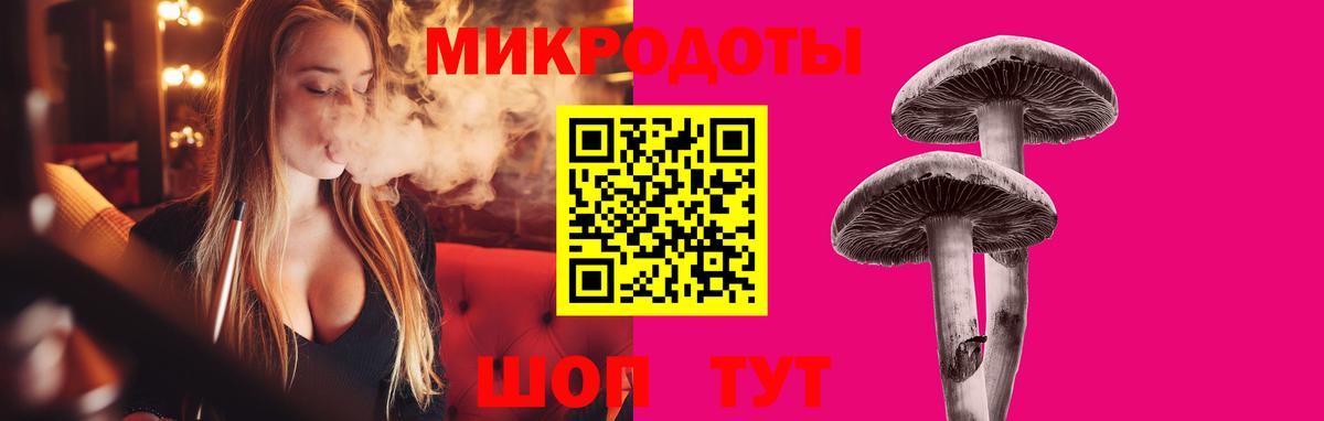 наркота  Вход с VPN  Псилоцибиновые грибы мицелий  Дедовск  Псилоцибиновые грибы Psilocybe 